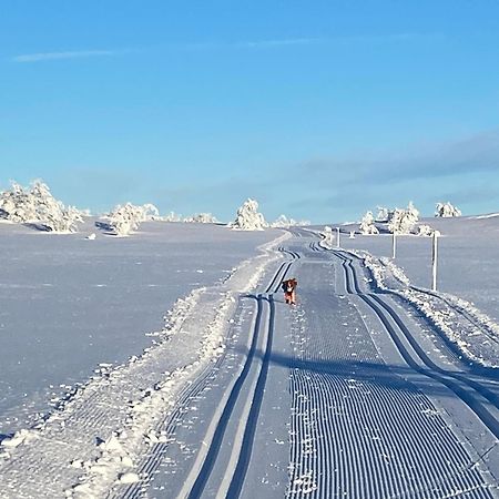 Koselig Familiehytte Pa Vakre Dagali - Naer Geilo Экстерьер фото