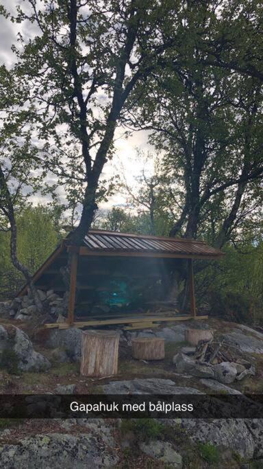 Koselig Familiehytte Pa Vakre Dagali - Naer Geilo Экстерьер фото