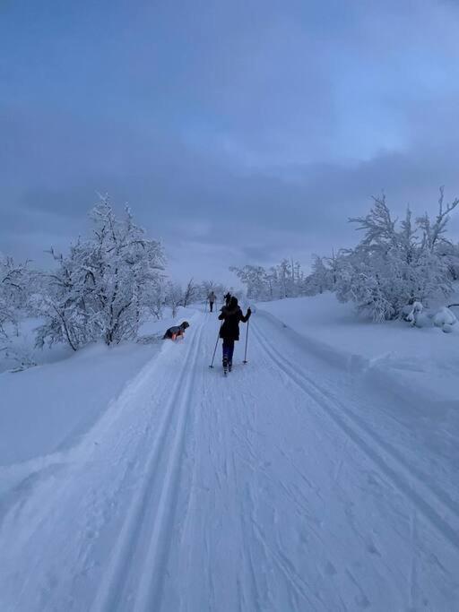 Koselig Familiehytte Pa Vakre Dagali - Naer Geilo Экстерьер фото