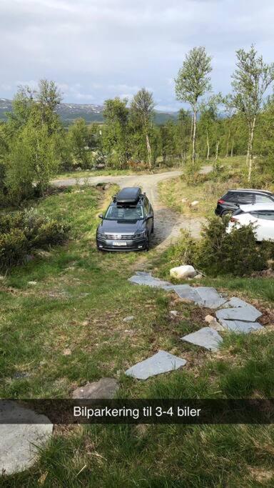 Koselig Familiehytte Pa Vakre Dagali - Naer Geilo Экстерьер фото