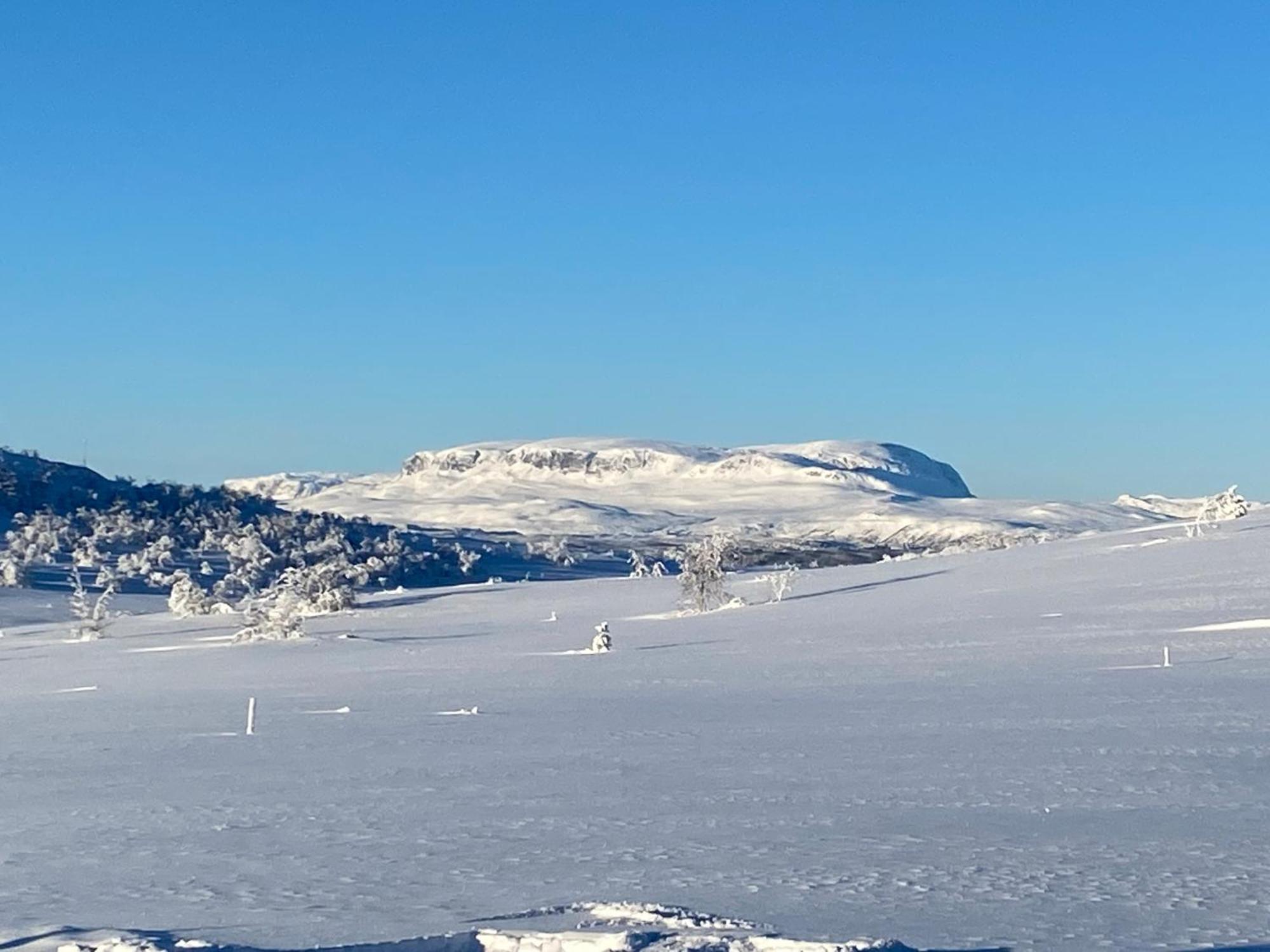 Koselig Familiehytte Pa Vakre Dagali - Naer Geilo Экстерьер фото