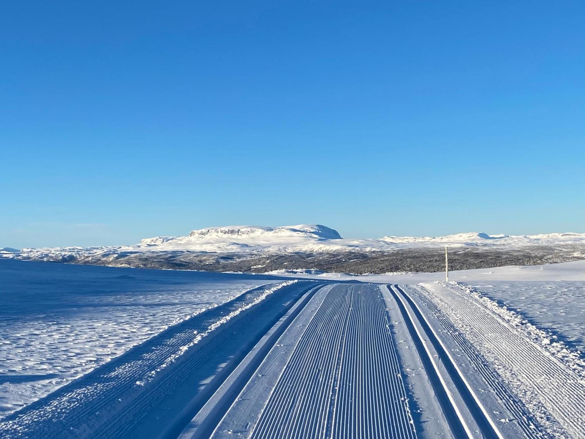 Koselig Familiehytte Pa Vakre Dagali - Naer Geilo Экстерьер фото